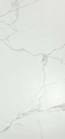 Brooklyn 24x48 matte porcelain tile - alternate face
