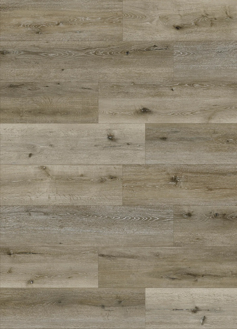 Fuzion Dynamix Lone Star Collection – Alamo Ash
