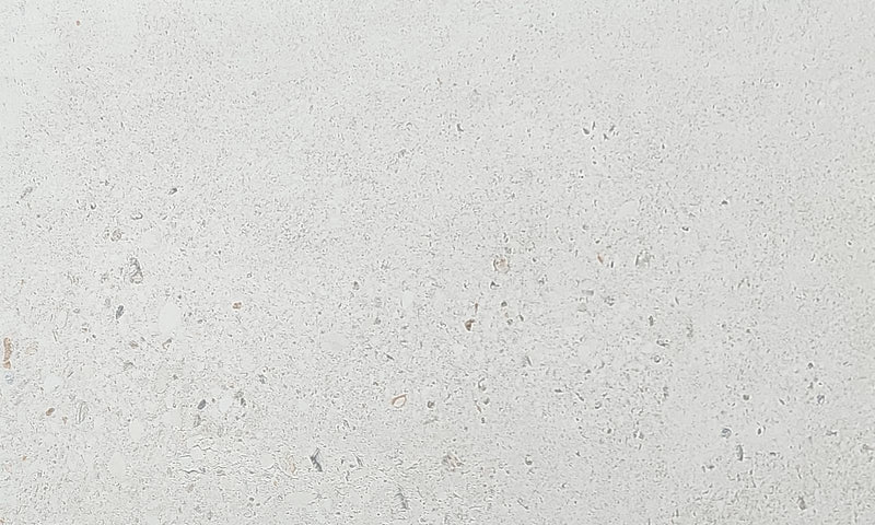 12”x24” Tile – Exhibition White [MU30]  – Floor & Wall Tile - $1.99/sq.ft. C6