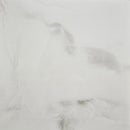 24x24 polished porcelain floor and wall tile