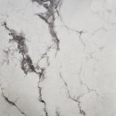 24x24 polished porcelain floor and wall tile