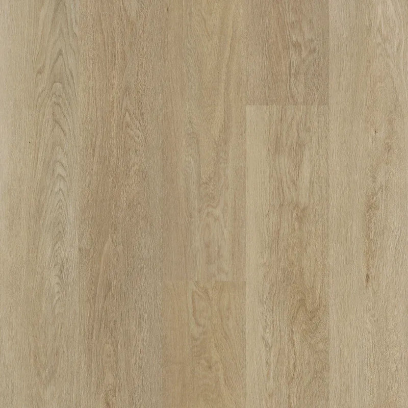 Vinyl Plank/Biyork Vinyl Plank Traktion Haywire Loose Lay 7-3/8" x 48"