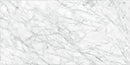 Anatolia Porcelain (Carrara Abisso 24 x 48)
