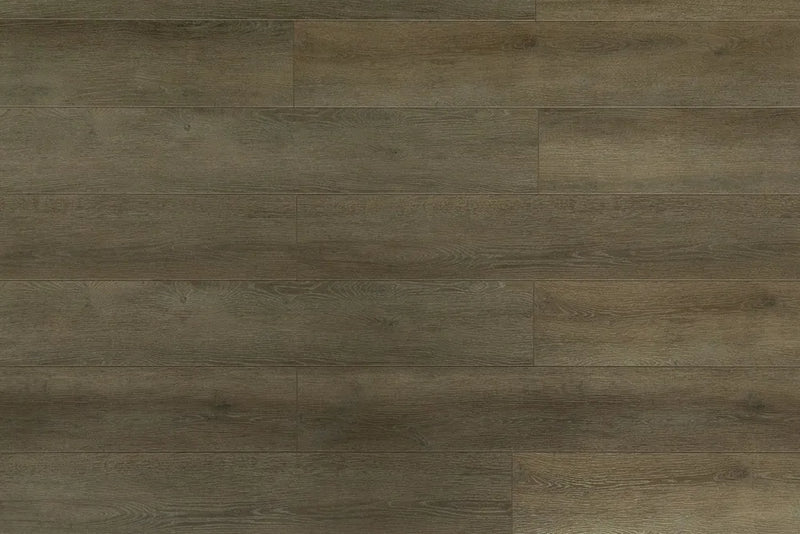 Toucan Laminate Flooring TF63 Series