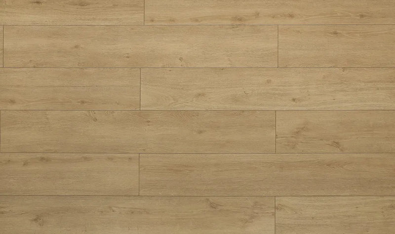 Toucan Laminate Flooring TF63 Series