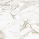 Anatolia Porcelain (Calacatta Oro 24 x 48)