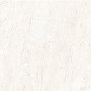 LAMANDO 24-inch x 24-inch  Polished Rectified Porcelain Tile