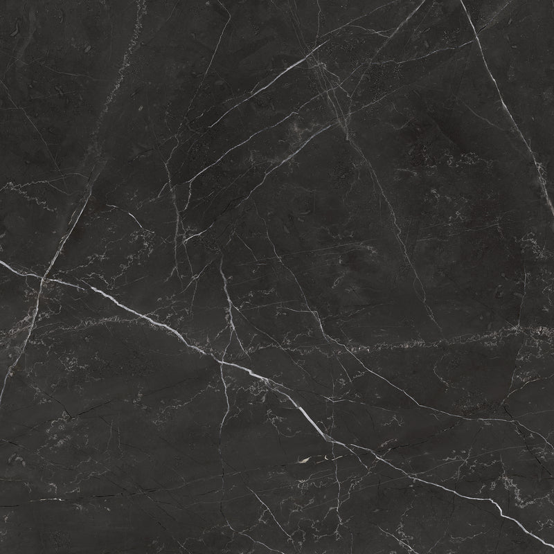 LA NERO VENATO 24-inch x 24-inch Polished Rectified Porcelain Tile