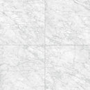 Anatolia Porcelain (Carrara Gioia 12 x 24)