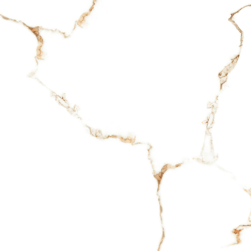 VENTO 24-inch x 24-inch Polished Rectified Porcelain Tile