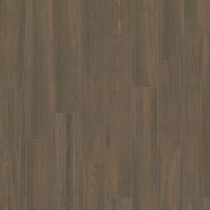 Cinnamon (6 x 36)